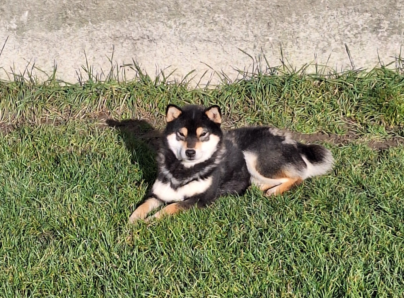 Gion Corner Velvet Underground